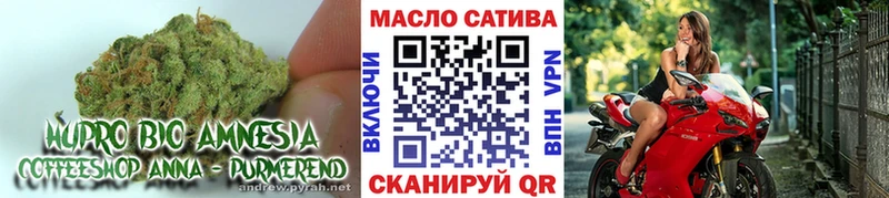 ТГК THC oil  Купить закладки  Междуреченск 