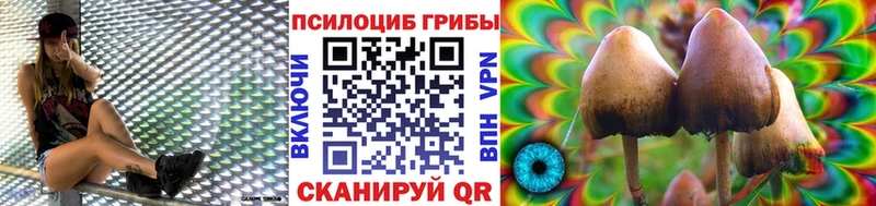 Псилоцибиновые грибы мухоморы  Купить где  Междуреченск 